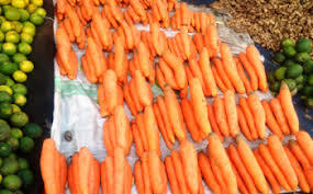 CAROTTE SÉCHÉE TRANCHÉE/FLOCONS DE CAROTTE SÉCHÉS 2024 - Product Image 5