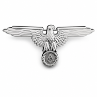 Metall-Adler Emaille-Anstecknadel mit Magnet für Anzug, Jacke, Hut, Geschenk, Großhandel, Bulk, Individuelles Logo