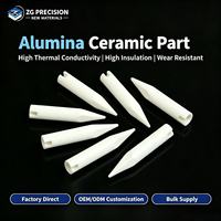Cerámica de Alúmina para Aislador de Punta, Boquilla Ranurada para Pinza, Aislamiento de Alta Frecuencia, Piezas de Cerámica Personalizadas con Formas Especiales