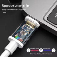 Câble de charge ultra-rapide PD60W pour iPhone 15, Type-C vers Type-C, écologique, en cuivre pur, TPE, avec options 1M/2M