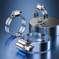 Collier de serrage flexible pour tuyau double, robuste, en acier inoxydable, finition zinguée, DIN 13-19mm, hydraulique, OEM