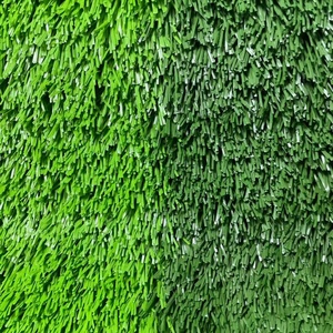 Turflory pâte herbe herbe courte terrains de football décoration murale articles ménagers revêtement de sol en plastique Design d'intérieur mur végétal - Product Image 5