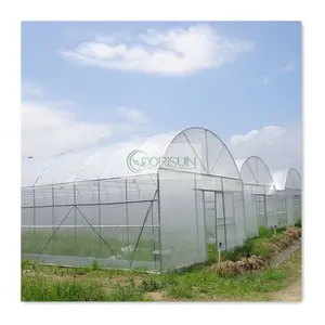 40x7 Tunnel esterno serra plastica agricola coltiva tende singola campata Film plastico serra