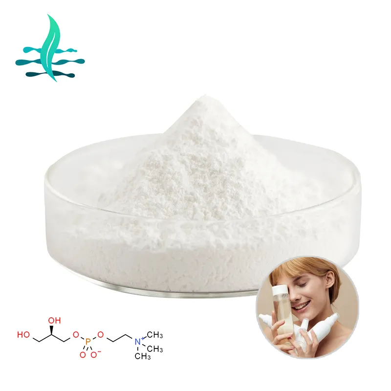 Supply High Purity Choline Glycerophosphate 50% 99% Alpha Gpc Powder CAS 28319-77-9