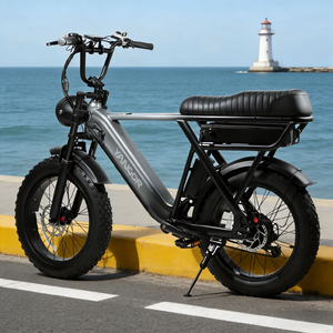 Vélo de route électrique YANGOR 20 pouces Y20 Pro 250W 48V 15Ah 20Ah, cadre en acier, écran LCD, moyeu arrière, 7 vitesses, batterie au lithium, suspension avant - Product Image 1