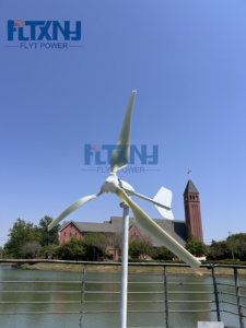 Générateur éolien horizontal 1000W 2000W 3000W 1kW 48V 1kW 2kW 3kW à vendre - Product Image 3