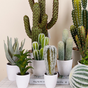 Artificial Cactus Potted Plants Multi Piece Package High Simulation Indoor Desktop Decorative Greenery - Product Image 2
