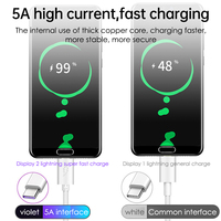 Cable de Datos USB C de Alta Velocidad 5A Personalizado de PVC, Cable de Carga Rápida Tipo C de 1m 2m 3m, Cable USB-C para Teléfonos Móviles y Computadoras