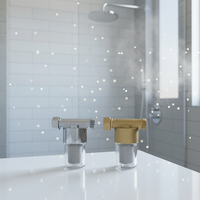 Pré-filtre à eau en acier inoxydable avec entrée/sortie 1/2 BSP pour machine à laver et toilettes domestiques