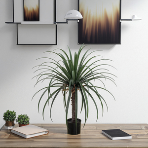 <span class=keywords><strong>Árbol</strong></span> <span class=keywords><strong>de</strong></span> Plátano Artificial <span class=keywords><strong>de</strong></span> Alta Calidad, Jade Horizon, <span class=keywords><strong>Dracaena</strong></span> <span class=keywords><strong>Draco</strong></span>, Plástico/PE/PVC, Ecológico, Duradero, Resistente al Agua - Product Image 1