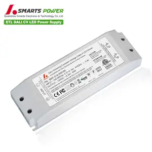 SMARTS POWER constant voltage 30W 60W 80W 100W 150W 180W 200W ac 12v 24v dimmable dali led driver price