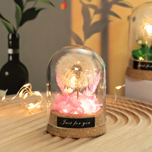 Cupola di Vetro LED con Dente di Leone Stabilizzato Unico, Luce Notturna a Forma di Fiore del Desiderio Eterno, Regalo per San Valentino, Festa della Mamma, Compleanno - Product Image 3