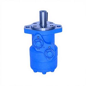 Motores Hidráulicos Serie OMR/BM2/HMR, Mecanizado Personalizado, Motores de Aceite de Órbita/Aleta/Engranaje - Product Image 5