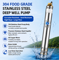Pompe de forage submersible en acier inoxydable pour jardin - Moteur 100% cuivre et commande automatique