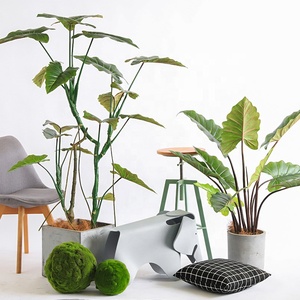 <span class=keywords><strong>Planta</strong></span> Artificial de Filodendro Arcoíris, <span class=keywords><strong>Planta</strong></span> Artificial en Maceta de 90-230 cm, Decoración para Interiores, Hogar y Jardín - Product Image 1