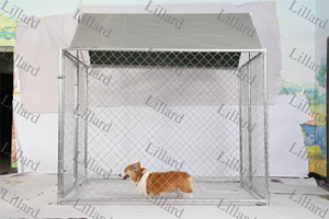 Enclos de jeu pour animaux de compagnie extérieur de grande taille 2m*2m*1.8m*2.3m avec auvent, <span class=keywords><strong>cage</strong></span> pour chien personnalisable pour cour/jardin, clôture de ferme en acier galvanisé - Product Image 5
