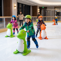 Panneaux de glace synthétique UHMWPE couleur personnalisée, feuilles de patinoire artificielle, impression de logo, fournisseur d'usine