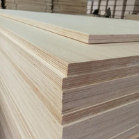 Tablero de Resina Fenólica de Madera Contrachapada de 18 mm y 12 mm, Madera Contrachapada de Abedul Finlandés, Madera Curvada, Madera Contrachapada de 18 mm