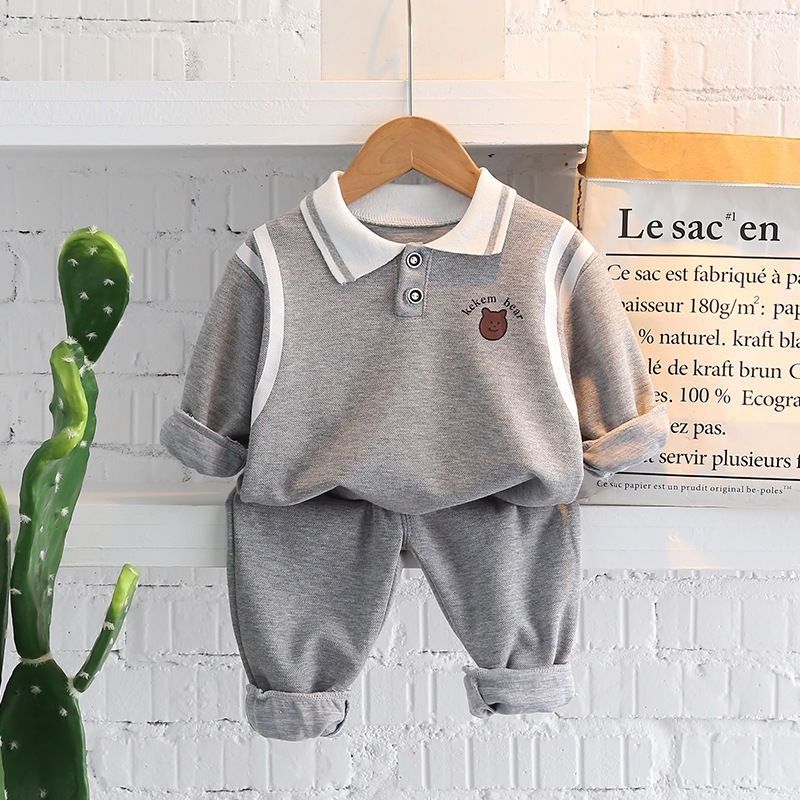 Collared little bear in gray color