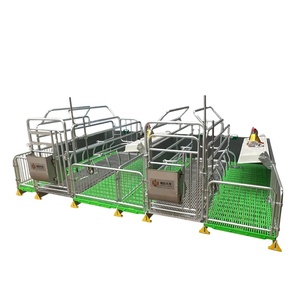 Customized <strong>Double</strong> Sow <strong>Galvanized</strong> Steel Nursery Pen New Used Pig Farming Maternity <strong>Cage</strong> Automatic Features Jaula Para Cerdo - Product Image 5