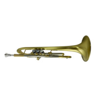 SEASOUND Professional Vintage BB Tone Trumpet Heavy Piston Instrument with Brass Body JYTR409MP1 OEM