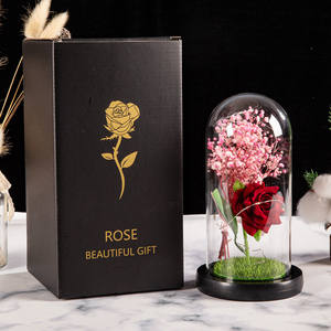 Flor de Rosa artificial TC con luz LED en cúpula transparente para regalos del Día de la madre de San Valentín, regalo de flor seca de Rosa Babysbreath - Product Image 3
