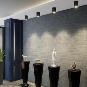 LED yüzey montaj alüminyum maliyet-etkin Modern basit tavan ticari ev spot downlight - Product Image 5