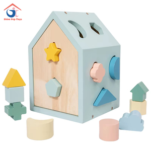Juguete Educativo de Madera Montessori para Clasificar Formas Geométricas, Bloques de Inteligencia Cognitiva para Niños de 5 a 7 Años - Product Image 1