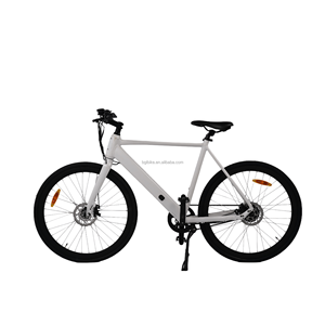 OEM Thiết Kế Cổ Điển Điện Xe Đạp Đường Ebike 48V 250W Ổ Đĩa Vành Đai Xe Đạp Điện Nội Bộ Biến Tốc Độ Sẵn Sàng Để Tàu Trong Kho - Product Image 4