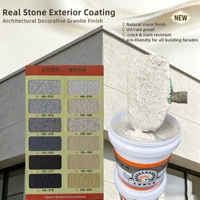Pintura de Piedra Natural OEM ODM, Venta al por Mayor de Fábrica, Revestimiento de Granito Impermeable para Paredes Exteriores, Embalaje Personalizado