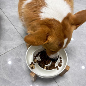 OEM al por mayor de fábrica Dod Cat <span class=keywords><strong>Dry</strong></span> <span class=keywords><strong>Food</strong></span> 1kg 2,5 kg 10kg Nutritivo completo Cachorro Perro Comida seca Comida para mascotas para perro - Product Image 4