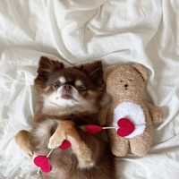 Jouet à mâcher pour chien en forme d'ours, avec compartiment pour friandises et papier froissé interactif