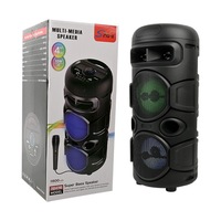 Haut-parleur portable BT 15W lecteur audio DJ sans fil alimentation cc radio domestique karaoké extérieur lecteur audio portable