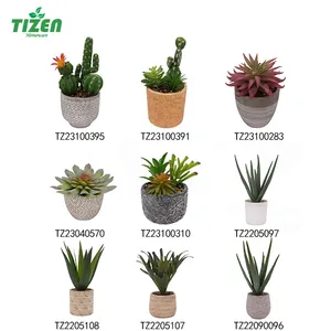 Tizen factory outlet piante artificiali in vaso di alta qualità di personalizzazione piante succulente artificiali per interni ed esterni
