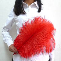 Plumes d'autruche fines teintes brutes de 45-50 cm, fournies par l'usine, en vrac pour les fêtes de carnaval et les décorations de mariage