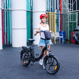 2023 pologne nouveauté 48V 10Ah batterie e-bike 350 Watt moteur pédale Assistant vélos électriques avec siège - Product Image 1