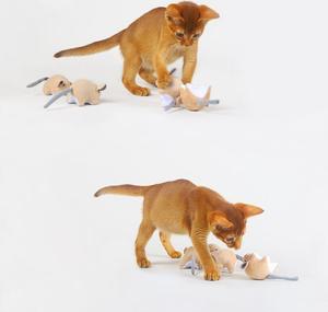 Nuevo Estilo Sostenible <span class=keywords><strong>Catnip</strong></span> gato juguete interactivo algodón peluche ratón juguete para gatos - Product Image 1