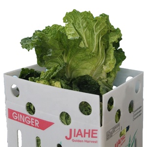 Large plastic storage boxes compartment storage plastic plastic container collapsible box
