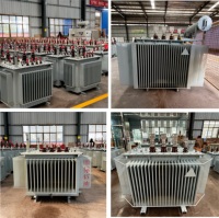 Transformateurs de distribution immergés dans l'huile triphasés/monophasés H61 10 kV 100 kVA 200 kVA 630 kVA 160 kVA