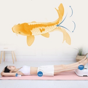 Macchina per Aerobica D Orientata alla Salute, 5.7kg, con Telecomando Wireless, Massaggio Piedi e Gambe, Fisioterapia, Relax per Anziani - Product Image 2