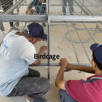 Équipement d'alimentation centralisé, conception modulaire, cage d'élevage de poulets pour une utilisation professionnelle dans les élevages avicoles