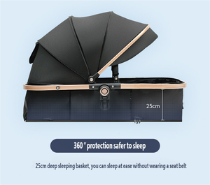 Wellpal Poussette de voyage multifonctionnelle de luxe 3 en 1 de haute qualité, équipement élégant pour bébé - Product Image 6