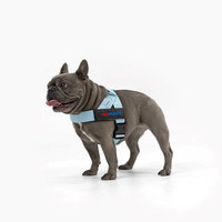 Harnais pour chien bleu ciel à dégagement rapide facile à allumer/éteindre harnais pour chien respirant confortable sans frottement