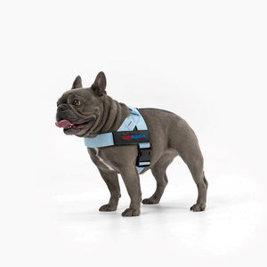 Tali anjing biru langit mudah dilepas/mati dapat diatur antilembap nyaman tanpa dada Harness anjing - Product Image 3