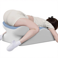 2 Nouveaux oreillers de sommeil multifonctionnels en coton à mémoire de forme imitation soie glacée, couleur unie, pour couples, coussin pour téléphone portable et jeux
