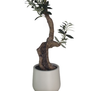 CHUANGFA 120cm en plastique <span class=keywords><strong>olivier</strong></span> artificiel-usage intérieur multi-pièces paquet Thanksgiving et décoration <span class=keywords><strong>de</strong></span> Noël pièce maîtresse <span class=keywords><strong>de</strong></span> mariage - Product Image 2