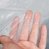 Film plastique réfléchissant transparent résistant aux UV pour serre agricole commerciale, 150 à 200 microns, à prix avantageux