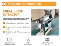 Commerciële Juicer Machine Fruit En Wortelgroenten Spruiten En Tarwegras Wortel Spiraal Pers Sap Extractor