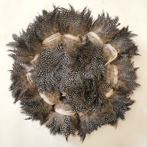 Venta al por mayor 3-5 "Natural Strung <span class=keywords><strong>Guinea</strong></span> Fowl plumas manchadas para atado de moscas pesca DIY manualidades decoraciones para el hogar - Product Image 1