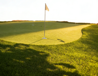 Gazon synthétique de golf artificiel de haute qualité sur mesure, 20 mm/15 mm, rouleau de gazon synthétique pour intérieur et extérieur, vente directe d'usine